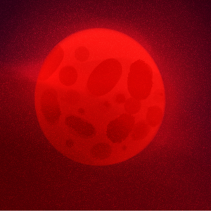 The Blood Moon