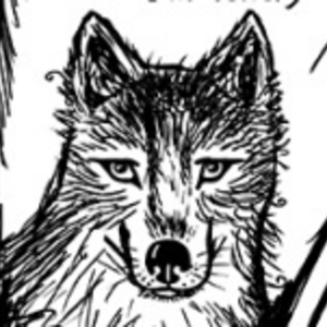 The Lone (Teen) Wolf