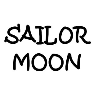 Sailor Moon After Graduation