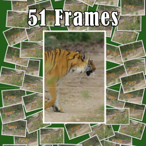 Part 8: Jim Corbett National Park