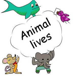 animal lives