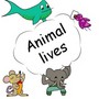 animal lives