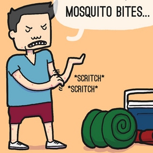 Mosquito Envy