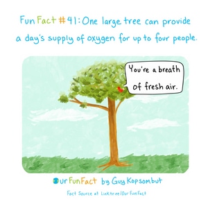 Let's save the trees.