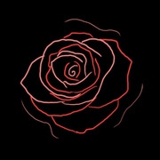 A Rosa