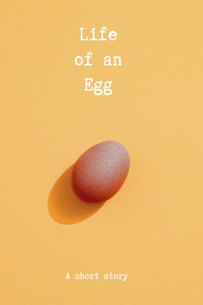 Life of an Egg