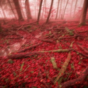 We Kick Some Vampire Ass