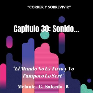 Capítulo 30: Sonido…