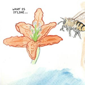 The Incarnation of a Flower