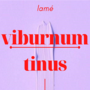 viburnum tinus