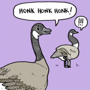 Honk