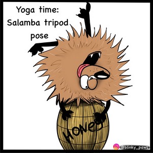 Another Yoga practice! Salamba tripOD on HoneypOD 