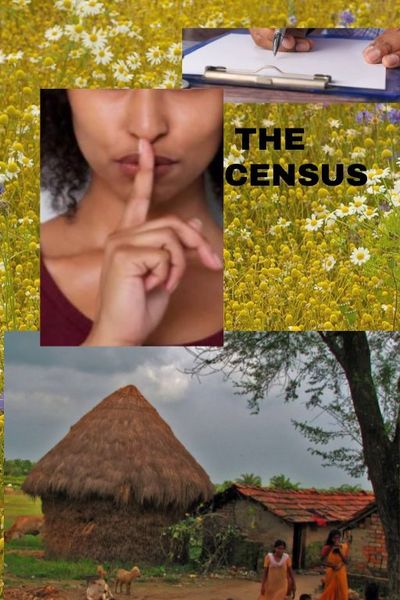 The Census
