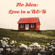 No Idea: Love in a B&amp;B
