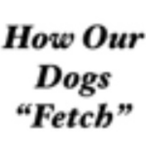 Fetch Fail