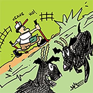 Ulleungdo: The Mysterious Island Episode 13