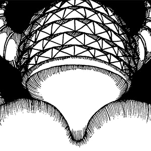 Ink #3: &quot;Estatua VOLUMINOSA&quot;