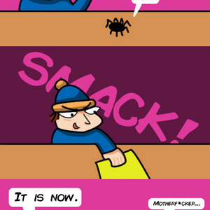 A Spider's Life