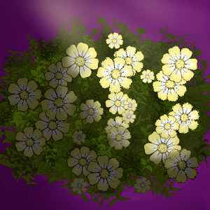 Chute cauchemardesque