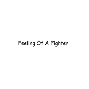 Feeling Of A Fighter
