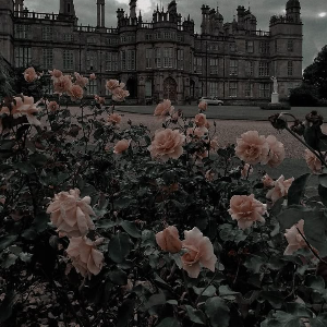 Accident. (Part two)