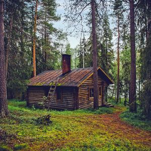 Chapter Eleven