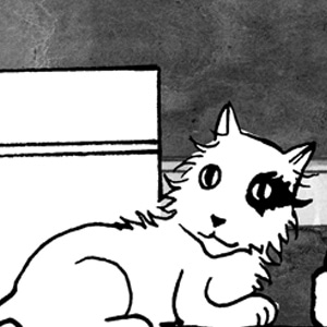 003 - What are you going to do with the box and the cat, Erwin?