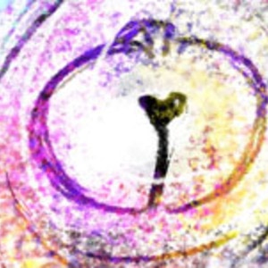 10-A Strange Place. (continued.)