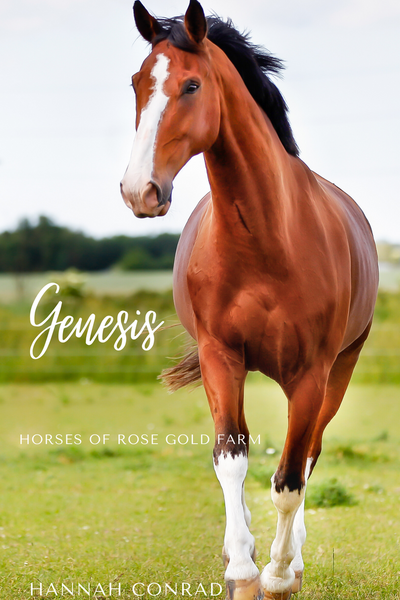 Horses of Rose Gold Farm: Genesis