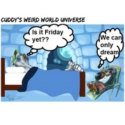 We can only dream....