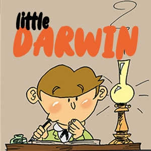 little Darwin #2