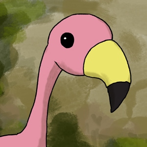 About Flamingos