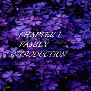 Chapter 1 Family introduction Part2