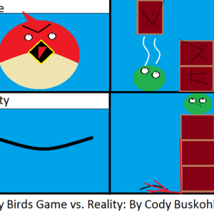 Angry Birds: Reality vs. The Game