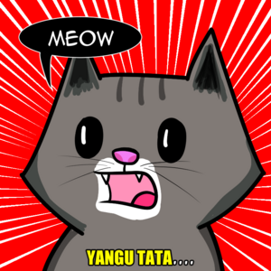 Cat got your money