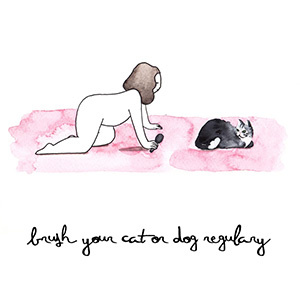 Brush your cat regularly