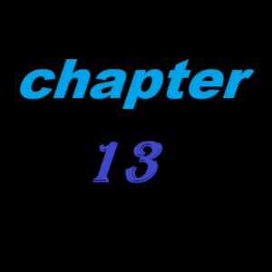 Chapter 13: Kirito's Death