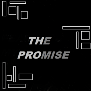 THE PROMISE