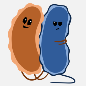 Bacteria Valentines