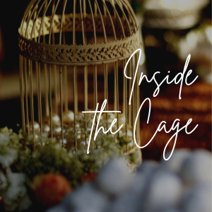 15 || Inside the Cage