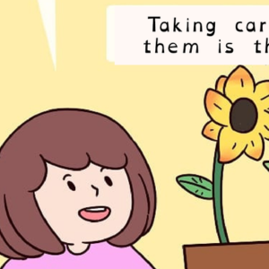 Taking care of the plants