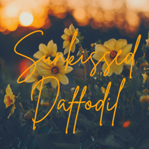 11 || Sunkissed Daffodil