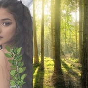 The Forestwife