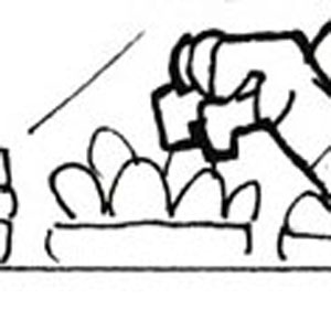 Failure to Communicate