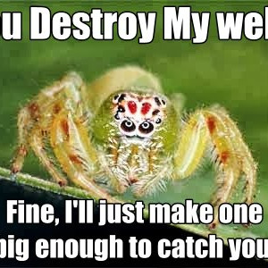 Destroy My Web