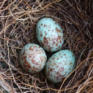 Chapter Nine: Doctors' Visit? (Part 3)