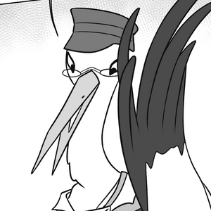 Ep 04 The new postbird