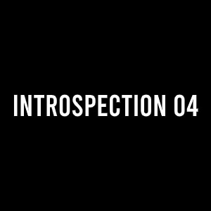 INTROSPECTION 04