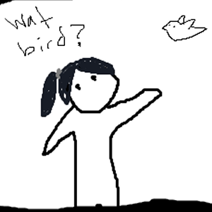 Ornithology 101