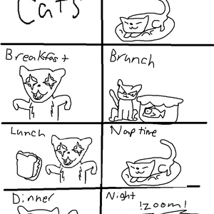 Cats (Day Cycle)